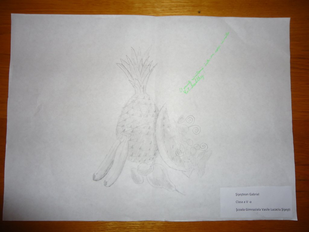 75_Sisiestean Gabriel_Sc Sisesti_GIMN.JPG